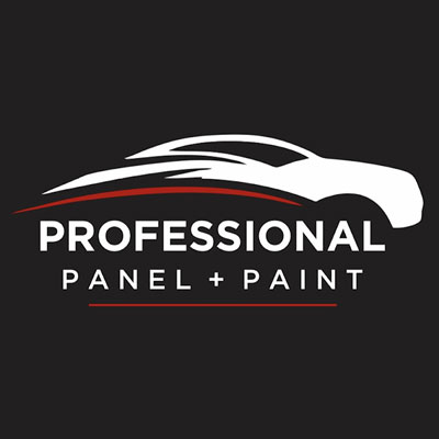 Professional Panel + Paint